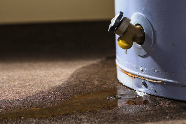 Best Emergency water extraction  in Timonium, MD