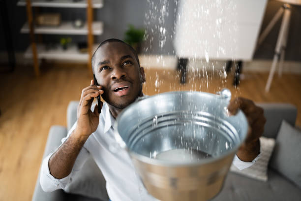 Best Water damage restoration services  in Timonium, MD