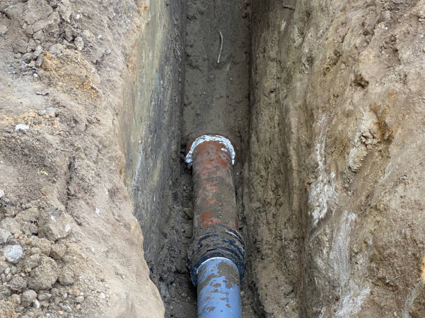 Best Flood damage cleanup  in Timonium, MD