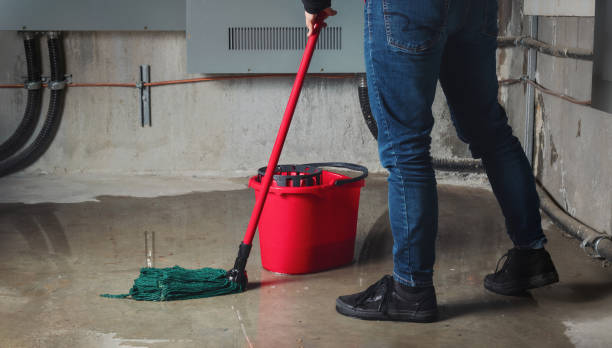 Reliable Timonium, MD Water damage restoration Solutions