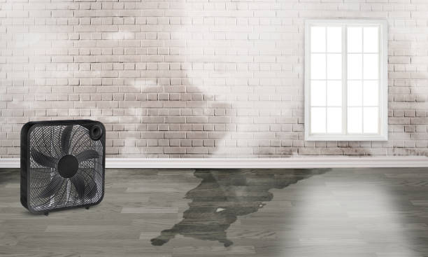 Best Water damage restoration experts  in Timonium, MD