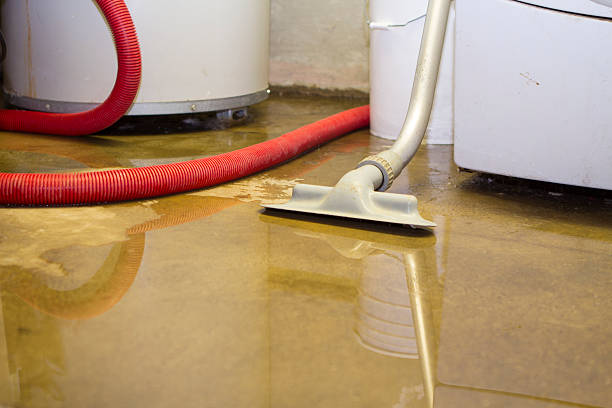 Best Flood damage cleanup  in Timonium, MD