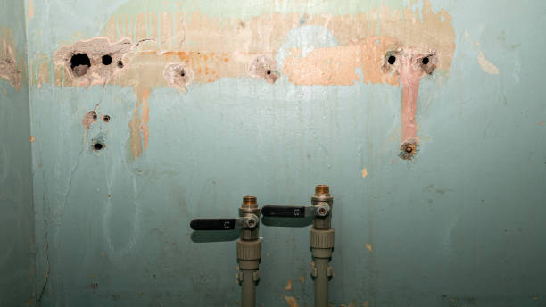 Best Water damage restoration insurance claims  in Timonium, MD