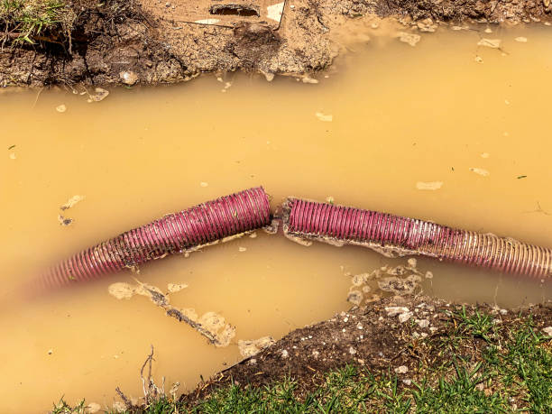 Best Water damage contractors near me  in Timonium, MD